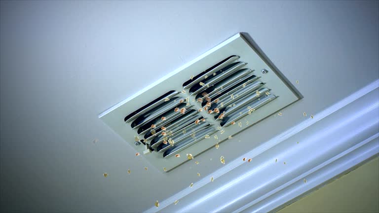 Best Best Air Duct Cleaning Company  in Big Bend, WI