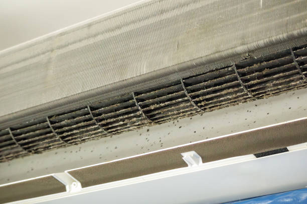 Best Air Vent Cleaning Services  in Big Bend, WI